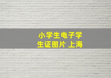 小学生电子学生证图片 上海